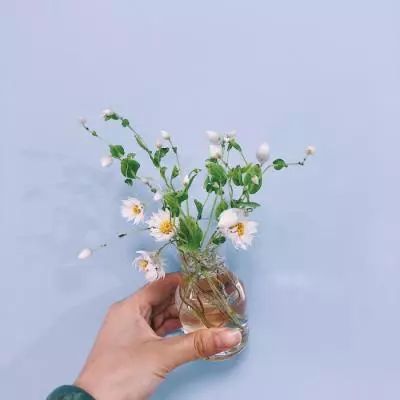 江湖杀变态版游戏下载